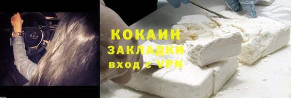 apvp Бородино