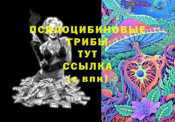 apvp Бородино
