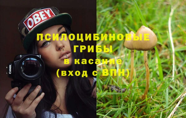 apvp Бородино