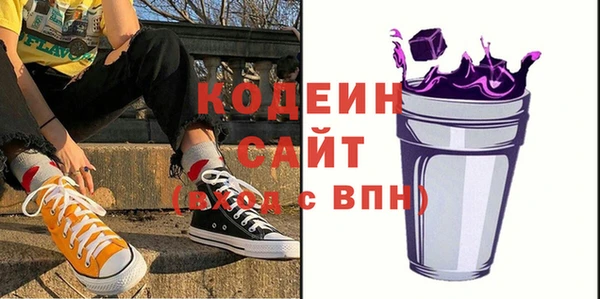 apvp Бородино