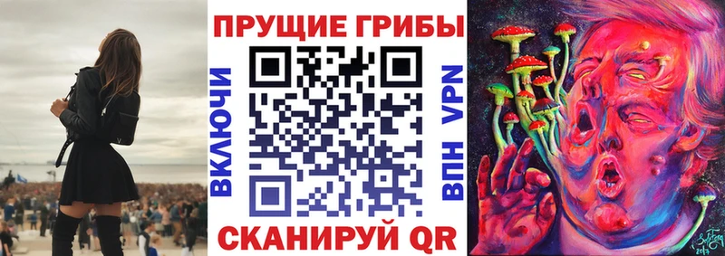 Галлюциногенные грибы Cubensis  Купить где  Гулькевичи 